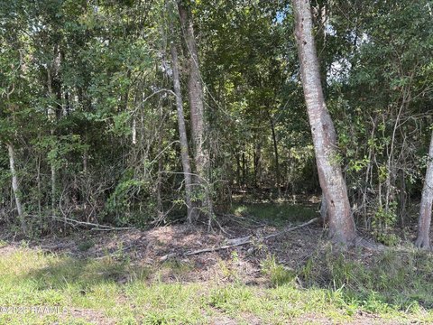 Land, Abbeville, LA