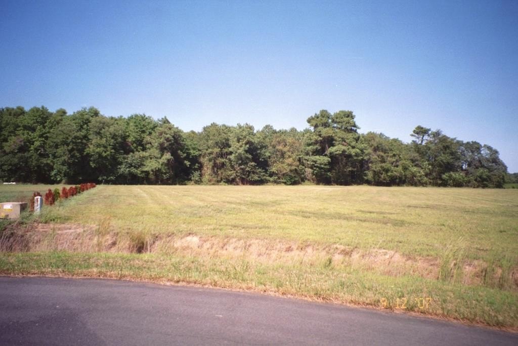 Picture 3