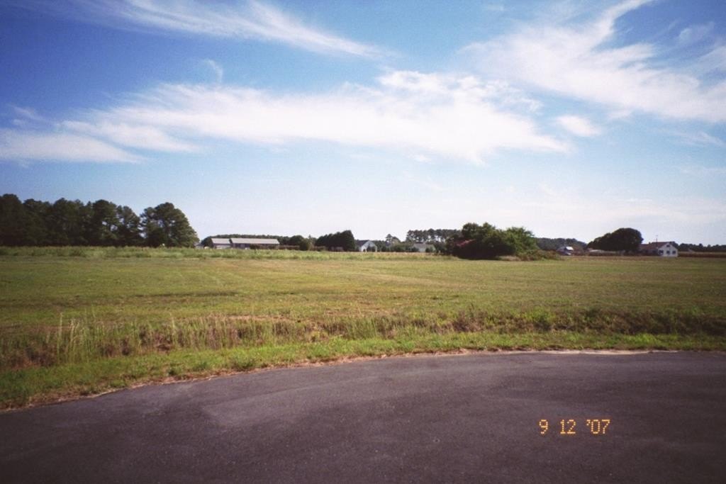 Picture 4