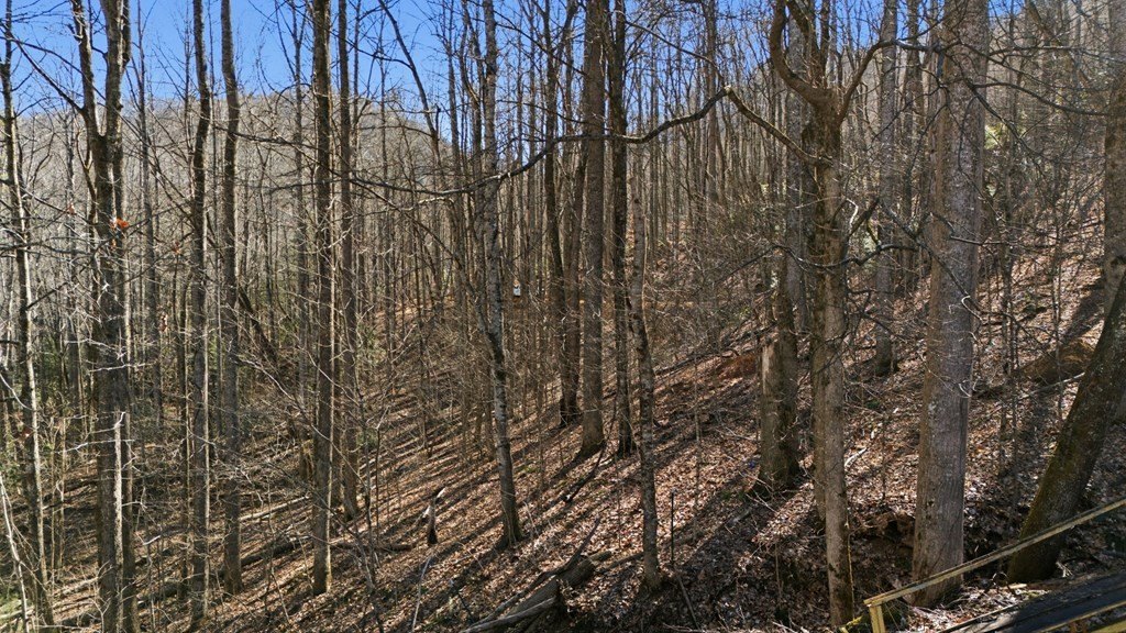 Picture 17