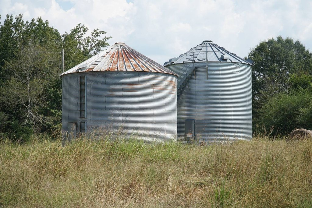 Picture 4