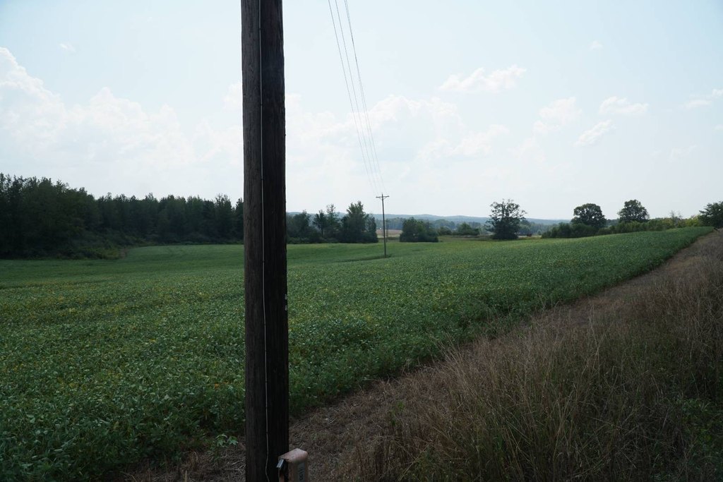 Picture 7