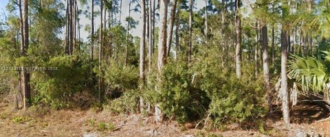 LAND - Punta Gorda, FL