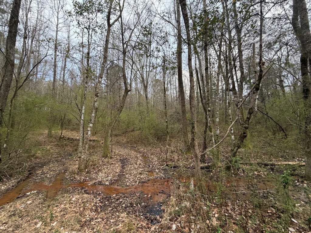 Picture 4