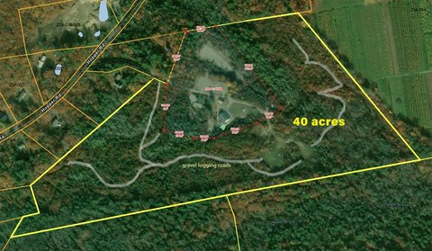 Acton, ME Wooded Acreage
