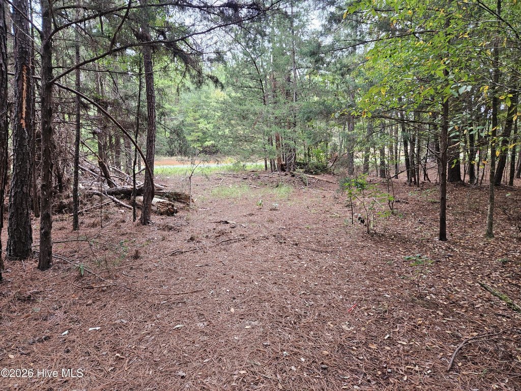 Picture 10