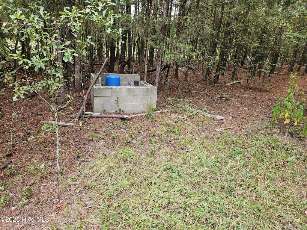 Picture 4