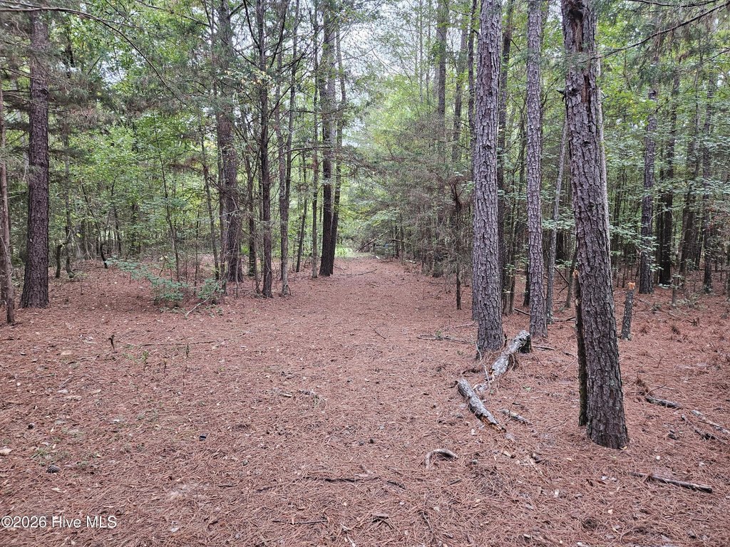 Picture 9