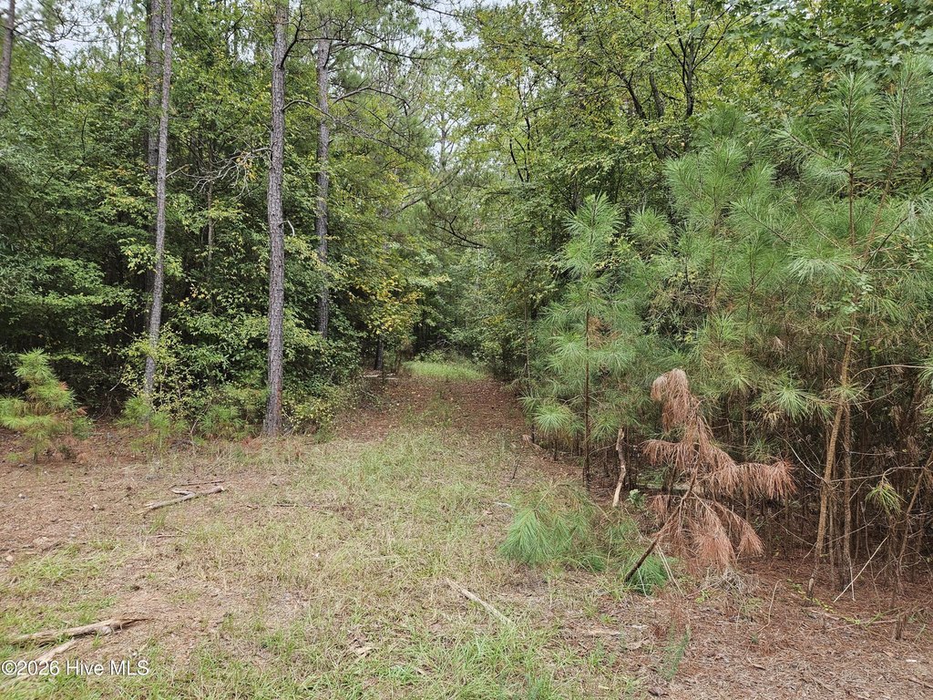 Picture 3