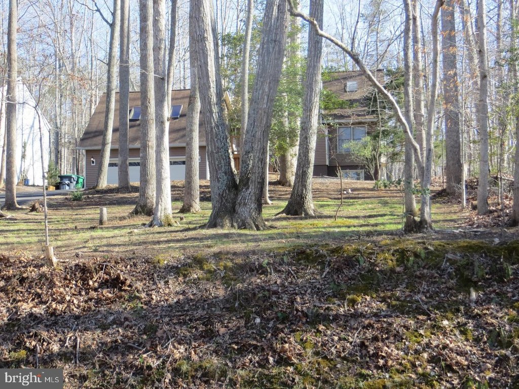 Picture 17