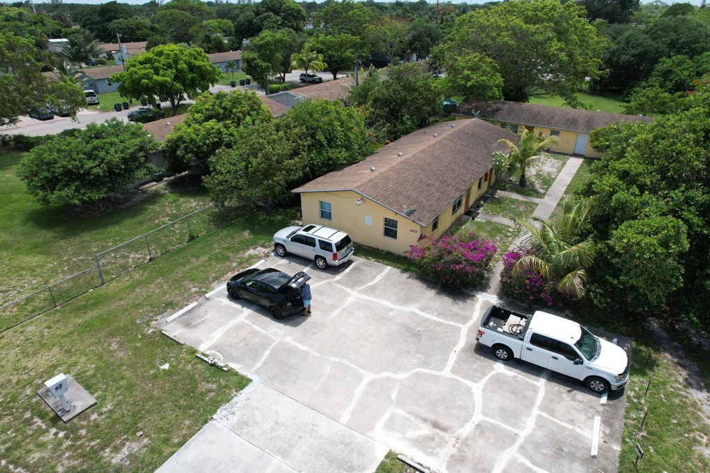 Picture 8