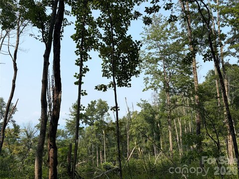LAND - Burnsville, NC
