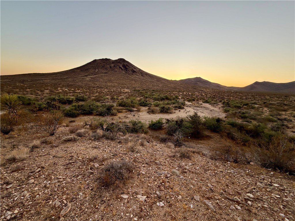 Picture 24