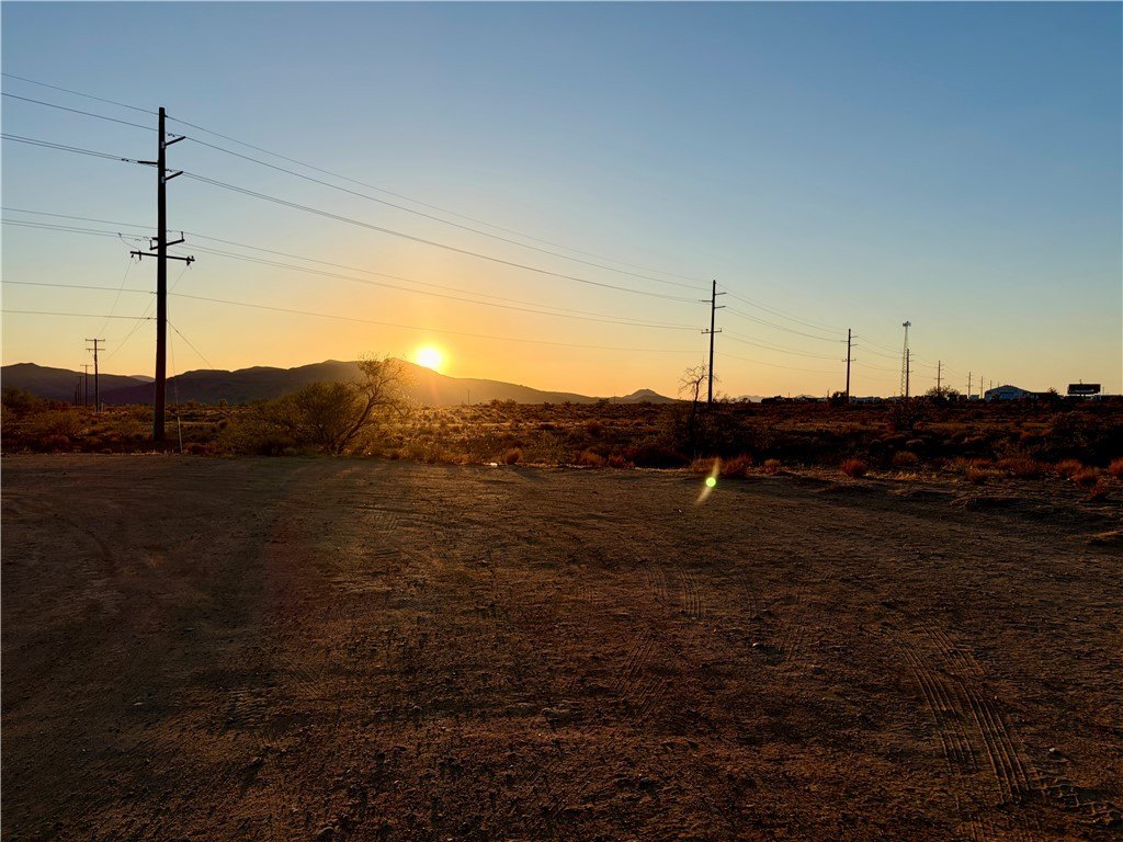 Picture 44