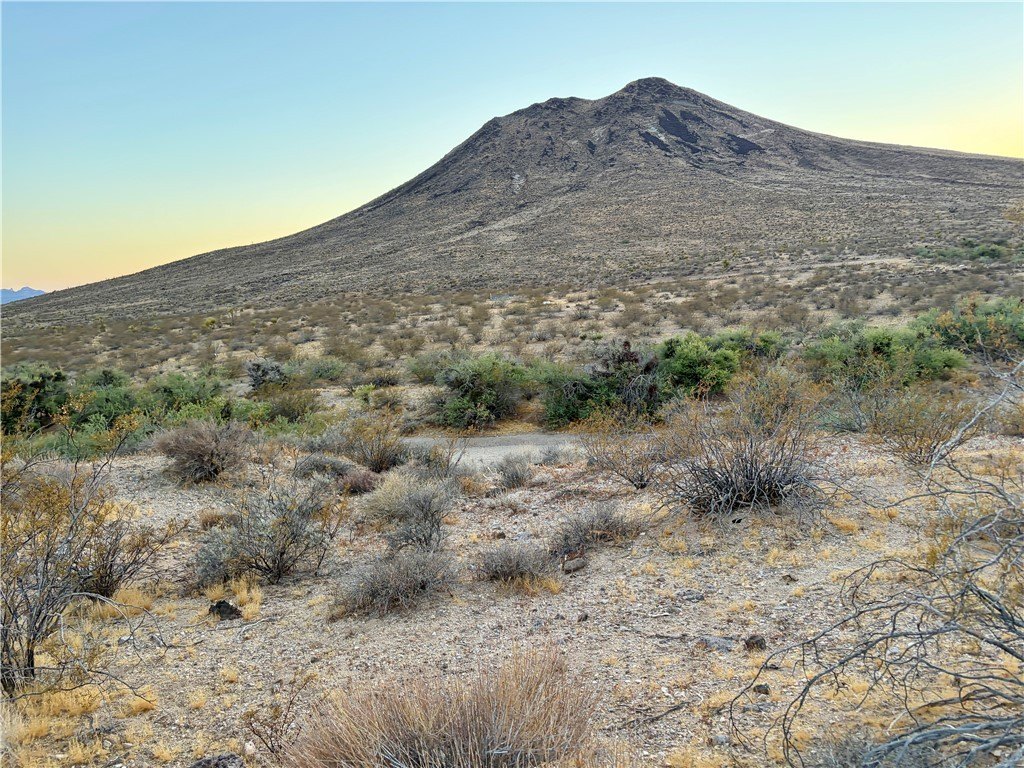 Picture 10