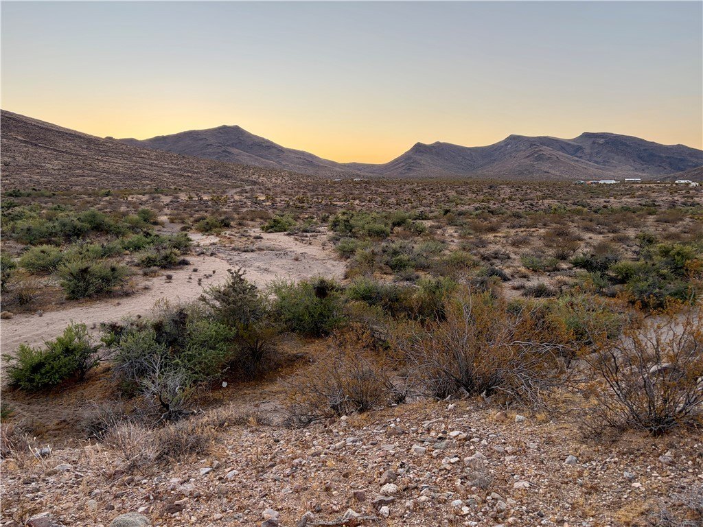 Picture 15