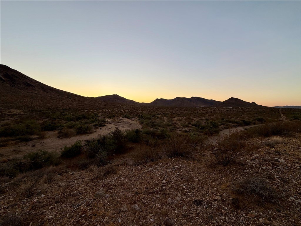 Picture 21