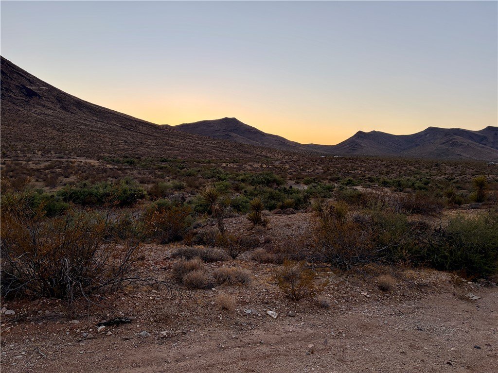 Picture 4