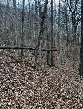 Unrestricted Acreage Near Watauga Lake