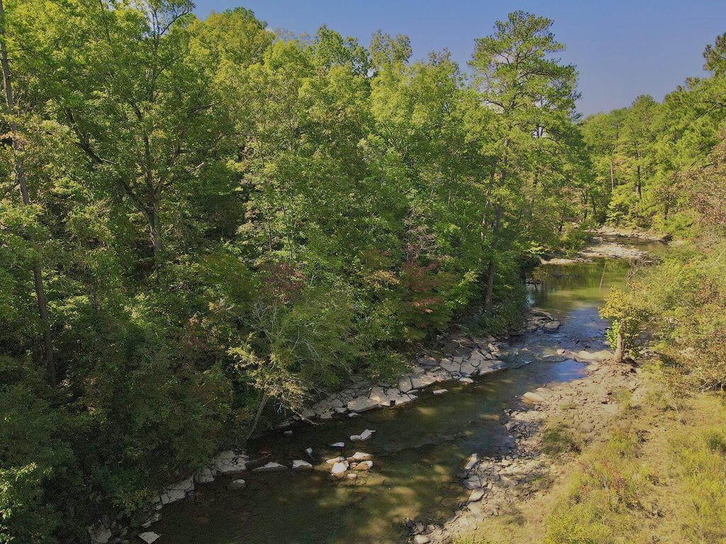 Picture 41