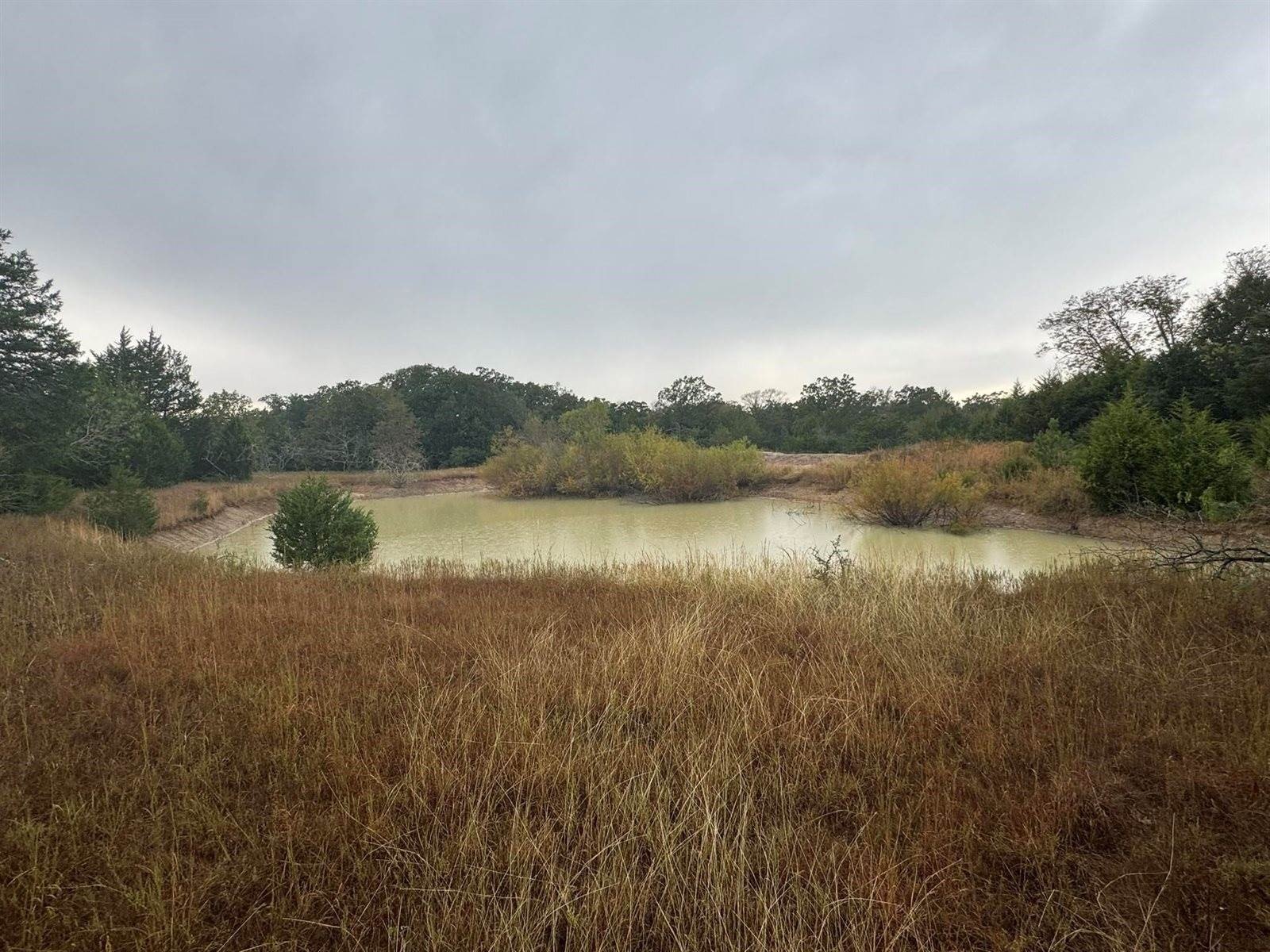 Teague, TX 50-Acre Property