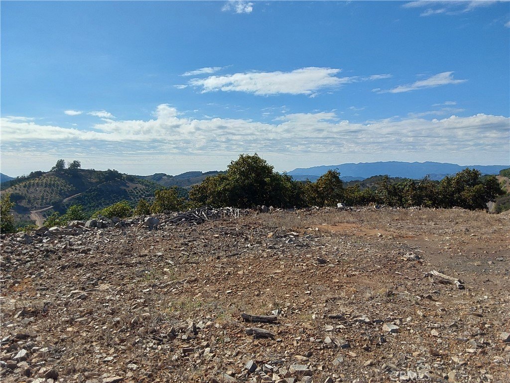 Picture 26