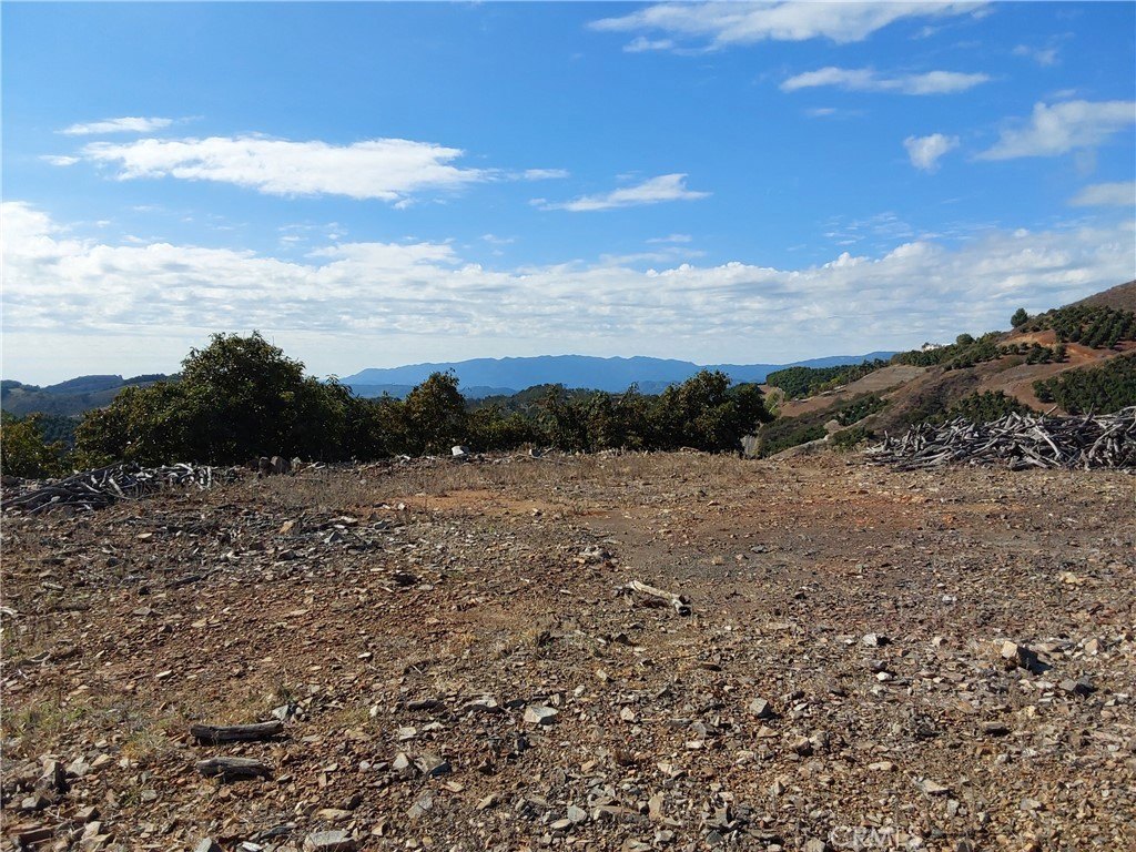 Picture 24