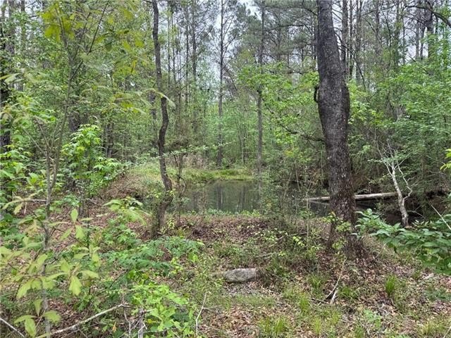 Wooded Land Parcel in Covington