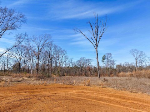 Land in Blackmon Place Subdivision