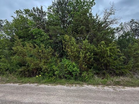 Wooded Lot in Gated Community