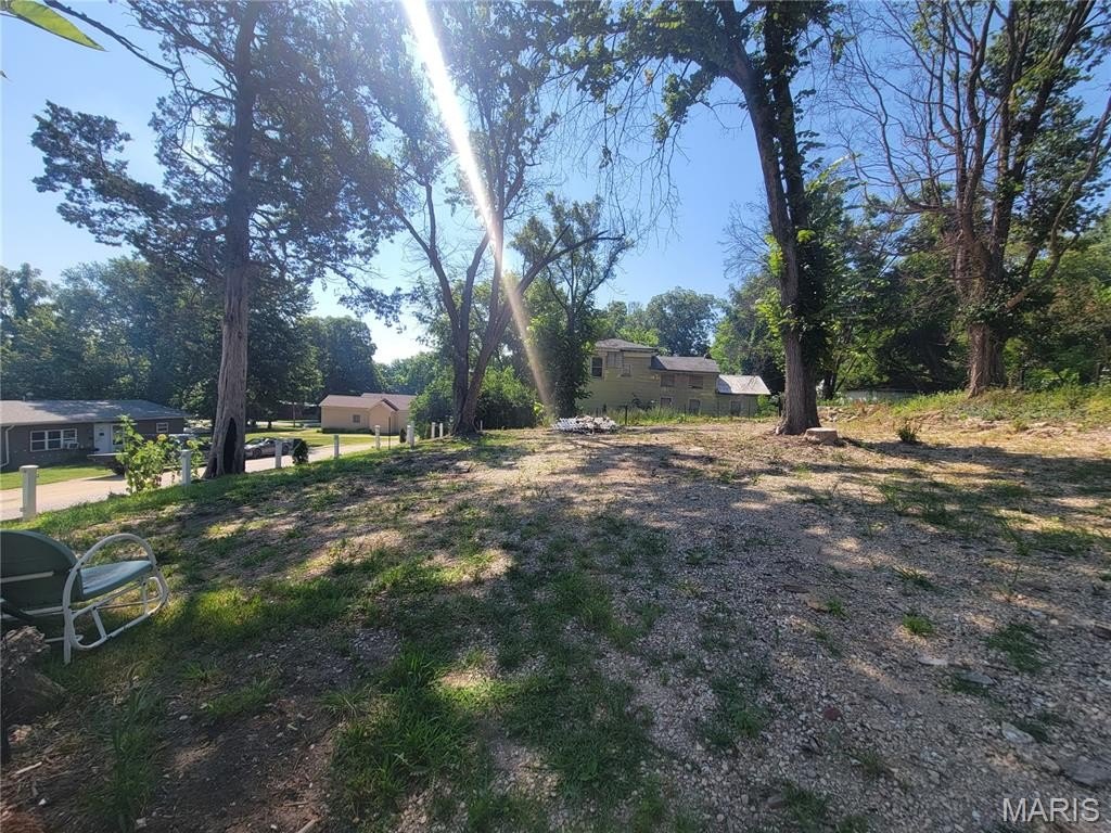 Picture 8