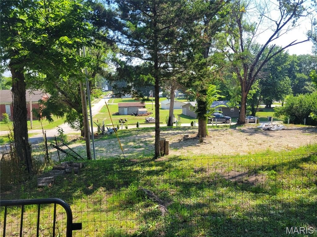 Picture 6