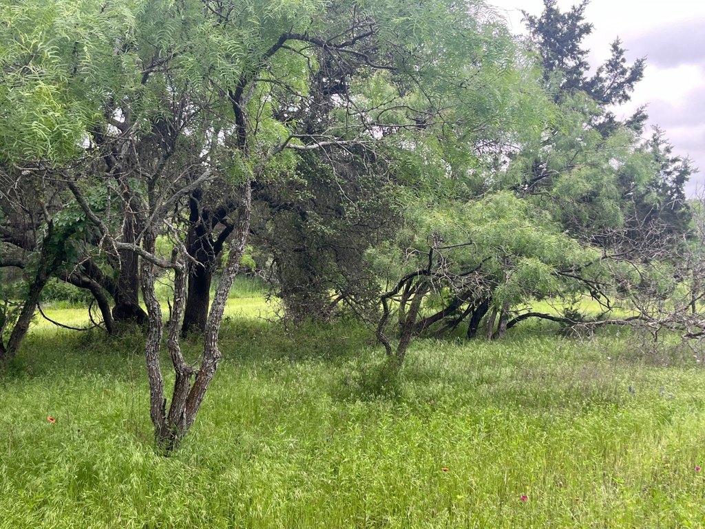 Picture 10