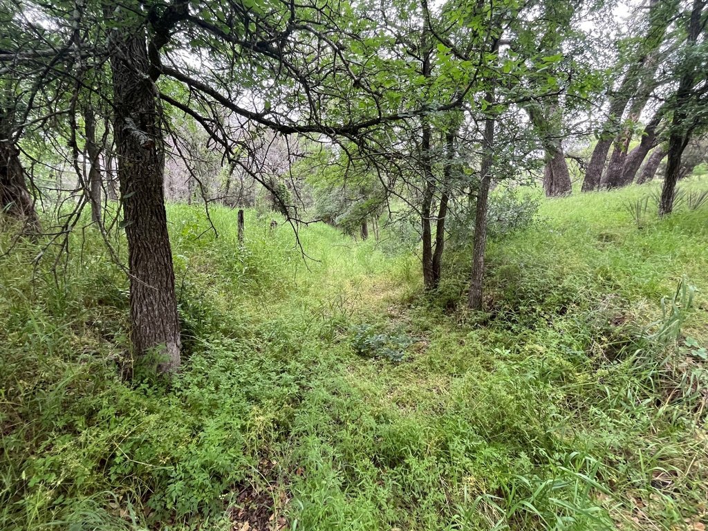 Picture 14