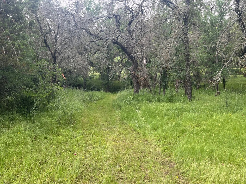 Picture 13