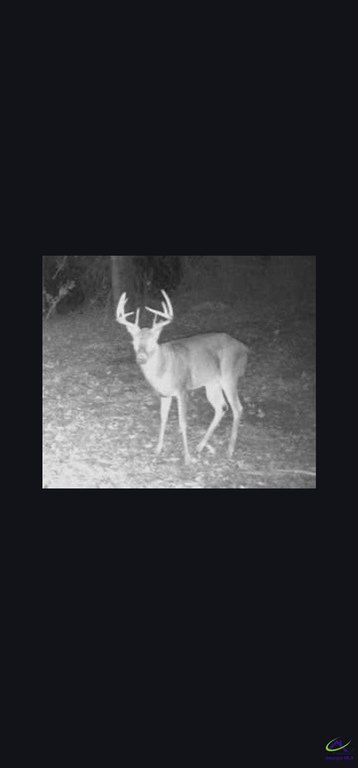 Picture 42