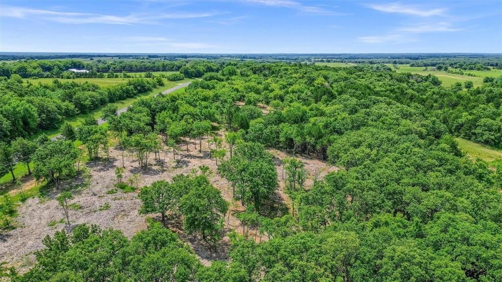 Texas Land with Mature Hardwoods
