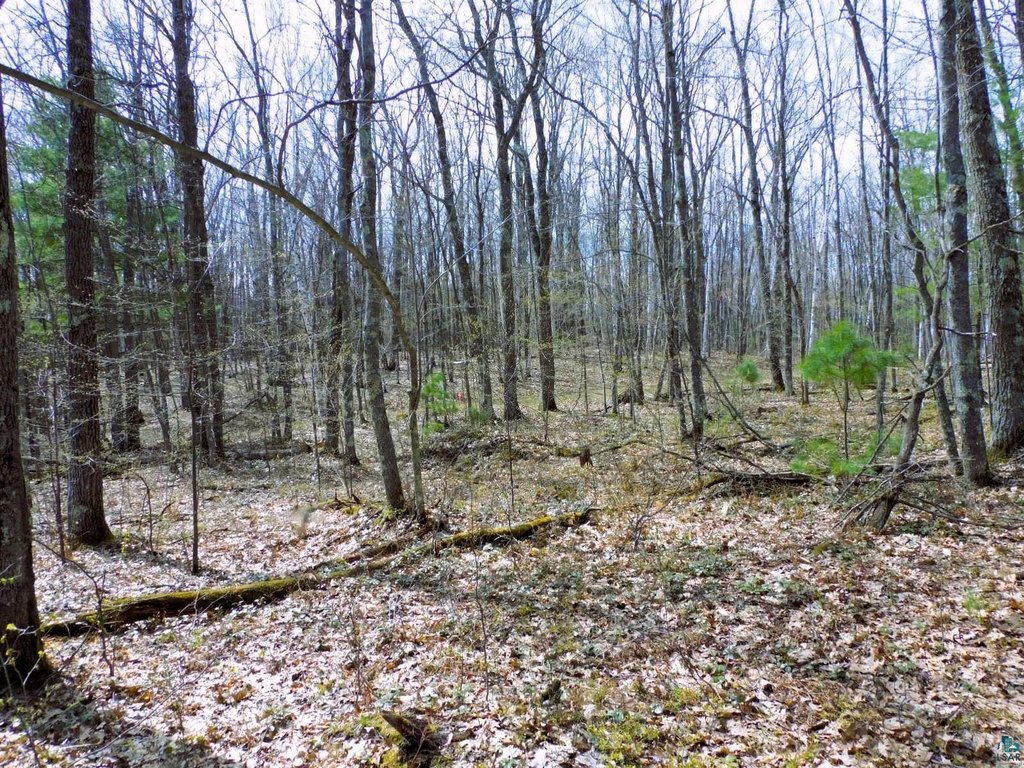 Picture 24