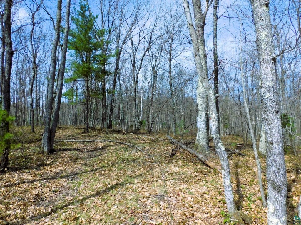 Picture 19