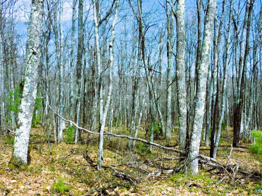 Picture 18