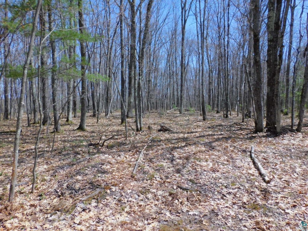 Picture 13