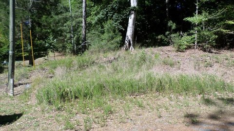 LAND - MONTROSS, VA