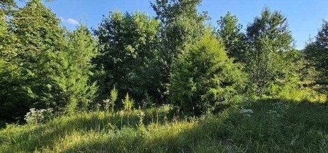 Dunlap, TN Homesite with Views