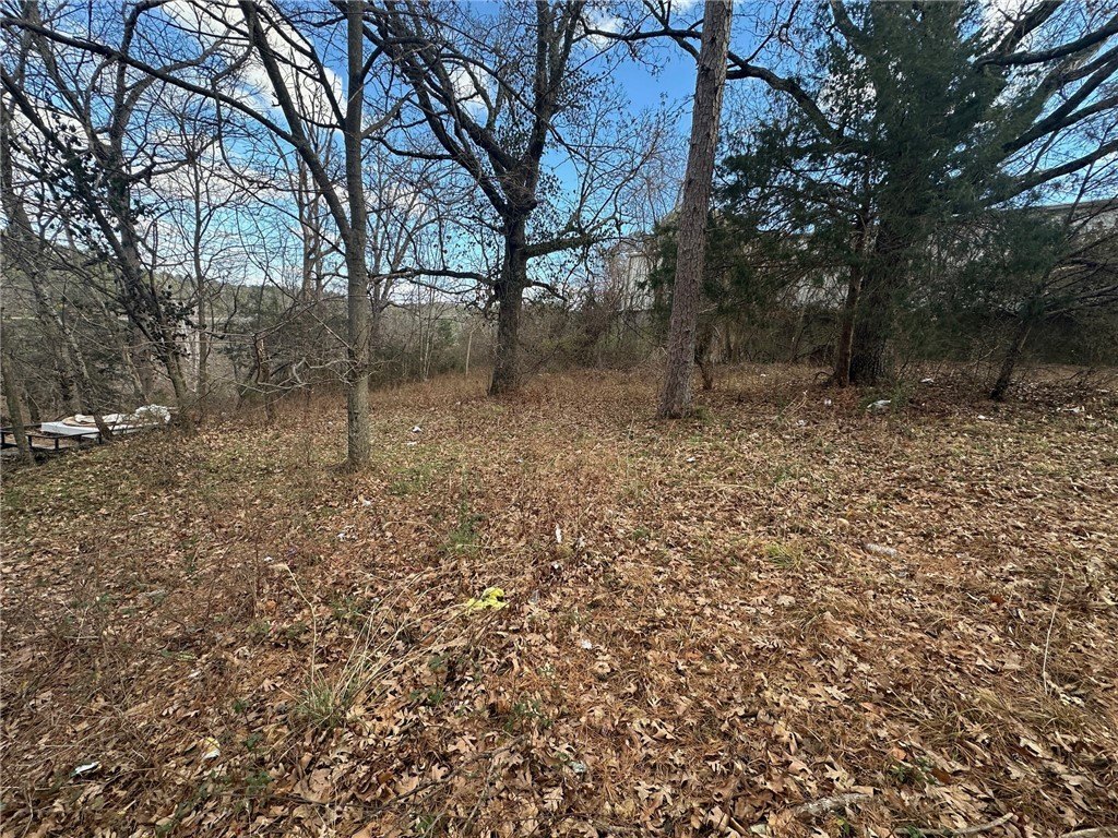 Picture 14