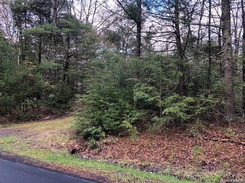Wooded Land Parcel in Barryville