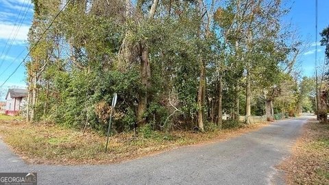 Corner Lot in Downtown Jesup