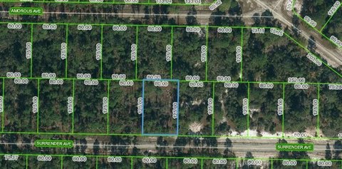 Residential Land in Lake Placid