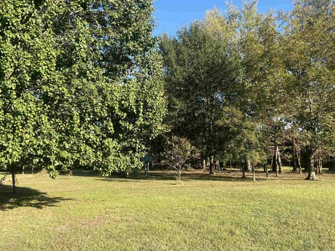 Lonoke Acreage Opportunity