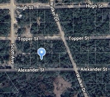 Land Near Lake Grandin