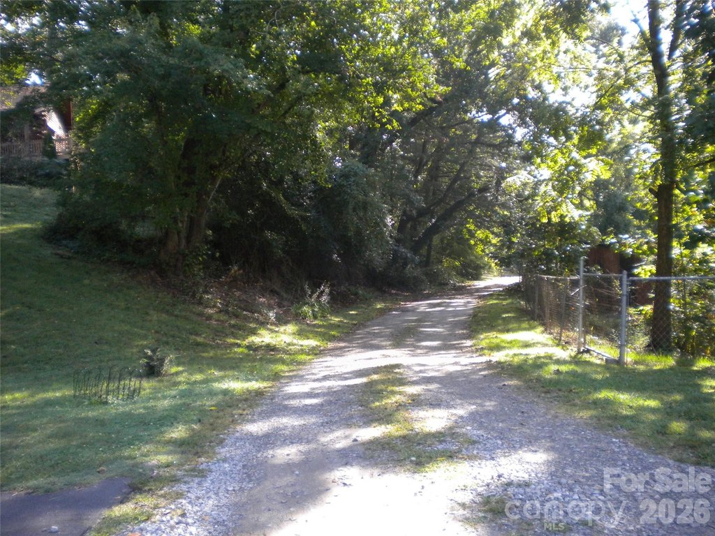 Picture 4